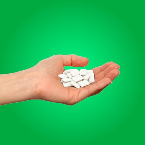 PUR Gum | Aspartame Free Chewing Gum | 100% Xylitol | Natural Spearmint Flavored Gum, 55 Pieces (Pack of 1)-UPStoxs