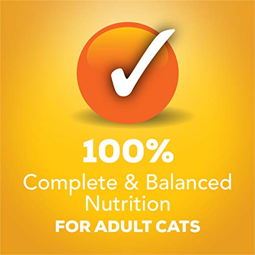 Purina Friskies Gravy Wet Cat Food Variety Pack, Tasty Treasures Prime Filets - 5.5 Ounce (Pack of 12)-UPStoxs