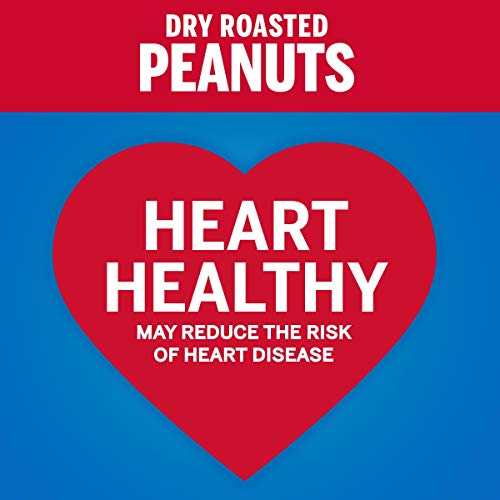 PLANTERS Salted Cocktail Peanuts, Party Snacks, Plant Based Protein 16oz (1 Canister)-UPStoxs