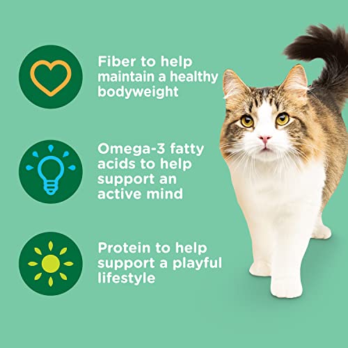 Rachael Ray Nutrish Indoor Complete Premium Natural Dry Cat Food with Added Vitamins, Minerals & Other Nutrients, Chicken with Lentils & Salmon Recipe, 14 Pounds (Packaging May Vary)-UPStoxs