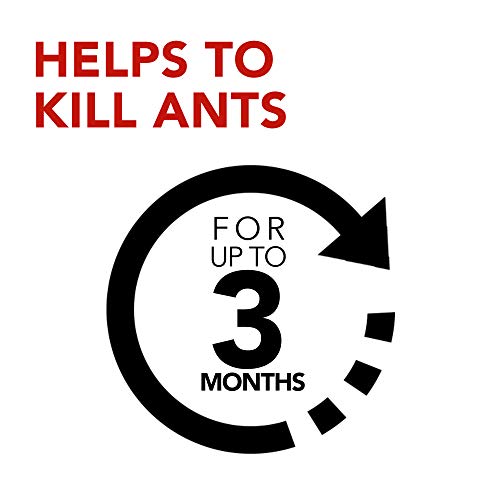 Raid Ant Killer Baits, For Household Use, Kills the Colony, Kills Ants for 3 Months, Child Resistant, 4 Count-UPStoxs