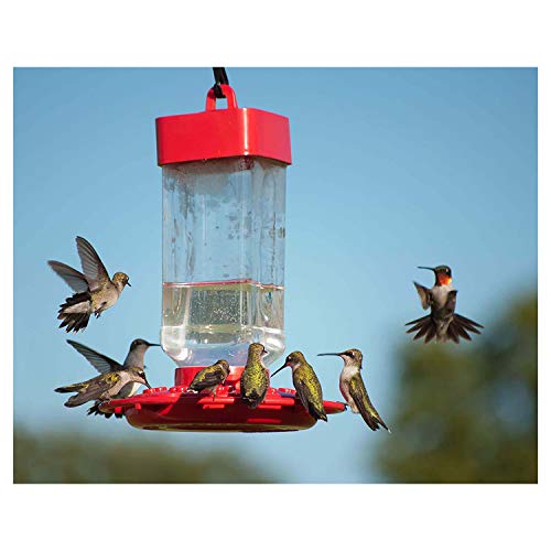 Kaytee Hummingbird ElectroNectar Wild Bird Food, Ready to Use, 64 Ounces-UPStoxs