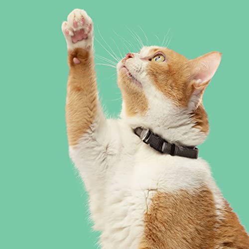 Rachael Ray Nutrish Indoor Complete Premium Natural Dry Cat Food with Added Vitamins, Minerals & Other Nutrients, Chicken with Lentils & Salmon Recipe, 14 Pounds (Packaging May Vary)-UPStoxs