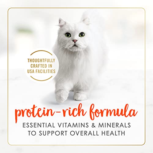 Purina Fancy Feast Salmon Feast Classic Grain Free Wet Cat Food Pate - 3 Ounce Cans (Pack of 24)-UPStoxs