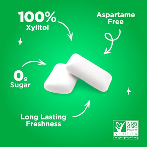 PUR Gum | Aspartame Free Chewing Gum | 100% Xylitol | Natural Spearmint Flavored Gum, 55 Pieces (Pack of 1)-UPStoxs