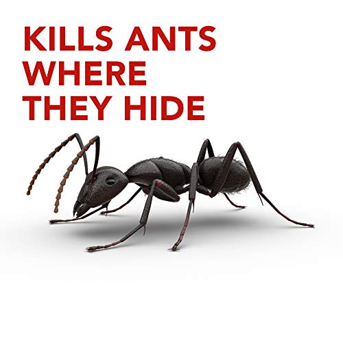 Raid Ant Killer Baits, For Household Use, Kills the Colony, Kills Ants for 3 Months, Child Resistant, 4 Count-UPStoxs