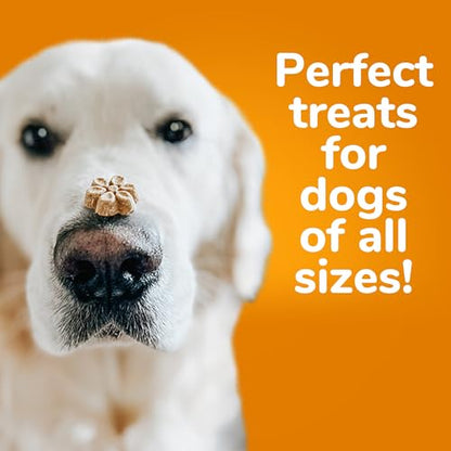 Fruitables Baked Dog Treats Pumpkin & Banana Flavor 7 Oz-UPStoxs