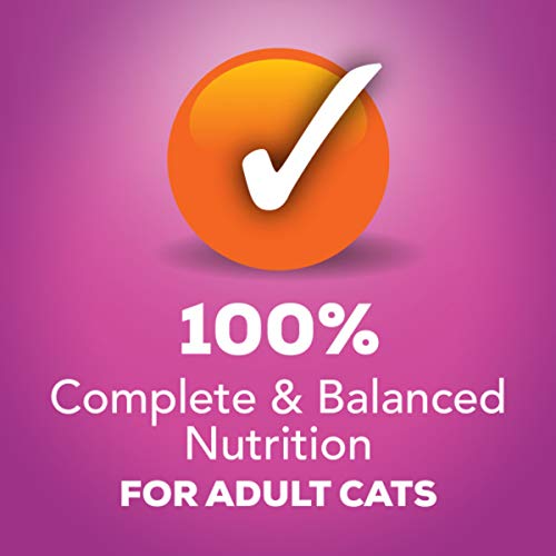 Purina Friskies Gravy Wet Cat Food Variety Pack, Poultry Shreds, Meaty Bits & Prime Filets - (Pack of 32) 5.5 oz. Cans-UPStoxs