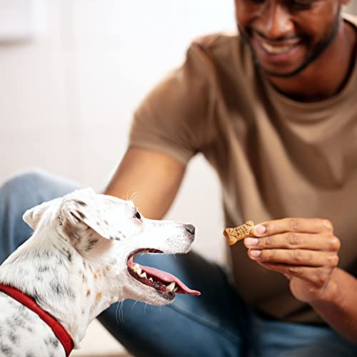 Milk-Bone Mini's Flavor Snacks Dog Treats, 36 Ounce Crunchy Texture Helps Reduce Tartar-UPStoxs