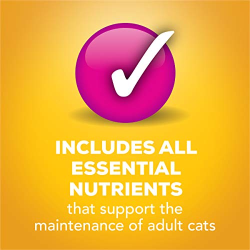 Purina Friskies Gravy Wet Cat Food Variety Pack, Tasty Treasures Prime Filets - 5.5 Ounce (Pack of 12)-UPStoxs