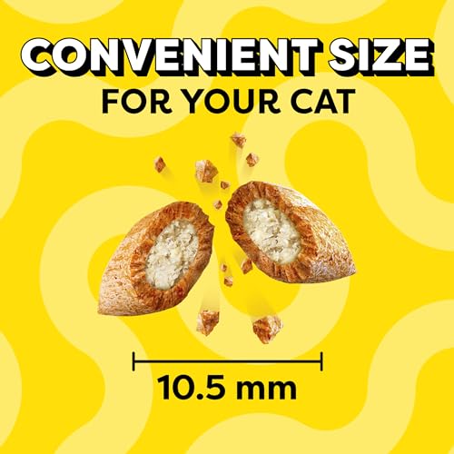 Temptations Classic Crunchy and Soft Cat Treats Tasty Chicken Flavor, 30 oz. Tub-UPStoxs