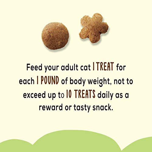 Purina Friskies Made in USA Facilities, Natural Cat Treats, Party Mix Natural Yums Catnip Flavor - 20 oz. Canister-UPStoxs