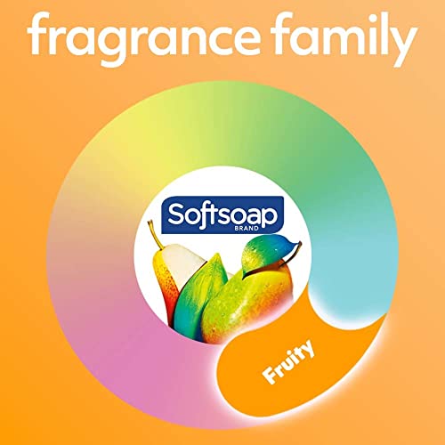 Softsoap Antibacterial Liquid Hand Soap Refill, White Tea & Berry Scented Hand Soap, 50 Ounce(Packaging May Vary)-UPStoxs