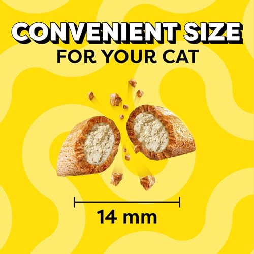 TEMPTATIONS Jumbo Stuff Crunchy and Soft Cat Treats, Tasty Chicken Flavor, 14 oz. Tub, (Pack of 1)-UPStoxs