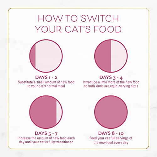 Purina Fancy Feast Dry Cat Food Filet Mignon Flavor with Seafood and Shrimp - 3 lb. Bag-UPStoxs