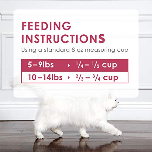 Purina Fancy Feast Dry Cat Food Filet Mignon Flavor with Seafood and Shrimp - 3 lb. Bag-UPStoxs