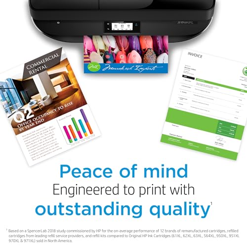 HP 67 Black Ink Cartridge | Works with HP DeskJet 1255, 2700, 4100 Series, HP ENVY 6000, 6400 Series | Eligible for Instant Ink | 3YM56AN-UPStoxs