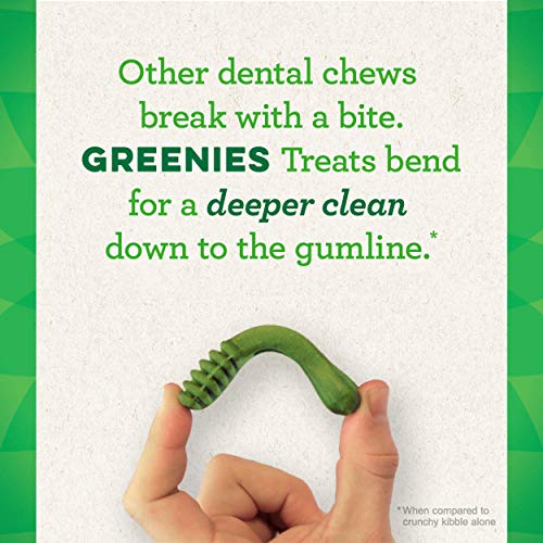 Greenies Original Regular Natural Dog Dental Care Chews Oral Health Dog Treats, 36 count (Pack of 1)-UPStoxs