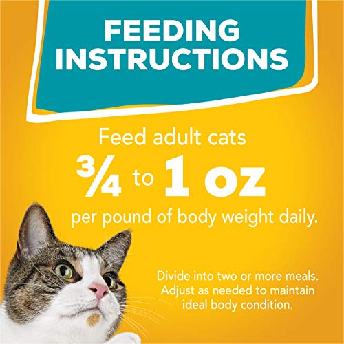 Purina Friskies Gravy Wet Cat Food Variety Pack, Tasty Treasures Prime Filets - 5.5 Ounce (Pack of 12)-UPStoxs