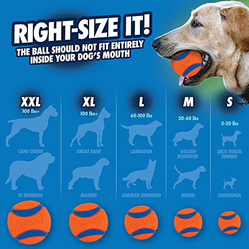 Chuckit Ultra Ball Dog Toy, Medium (2.5" Diameter), Pack of 8 with Chuckit Cleaning Bucket-UPStoxs