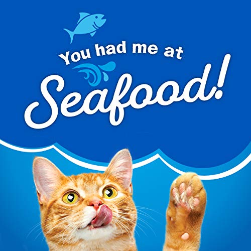 Purina Friskies Dry Cat Food, Seafood Sensations - 22 lb. Bag-UPStoxs