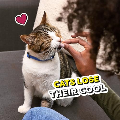TEMPTATIONS Classic Crunchy and Soft Cat Treats, SEAFOOD MEDLEY, Multiple Sizes-UPStoxs