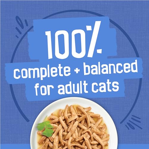 Purina Friskies Wet Cat Food Variety Pack, Shreds Beef, Turkey, Whitefish, and Chicken & Salmon - (Pack of 40) 5.5 oz. Cans-UPStoxs