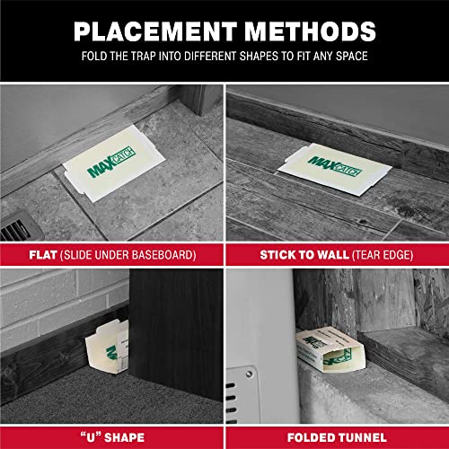 Catchmaster Max-Catch Mouse & Insect Glue Trap 36Pk, Mouse Traps Indoor for Home, Sticky Pest Control Adhesive Tray for Catching Bugs, Rats & Rodents, Non Toxic Bulk Pre-Baited Glue Boards-UPStoxs