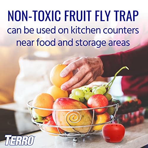 Terro Fruit Fly Trap 4 Traps + 180 Days Lure Supply-UPStoxs