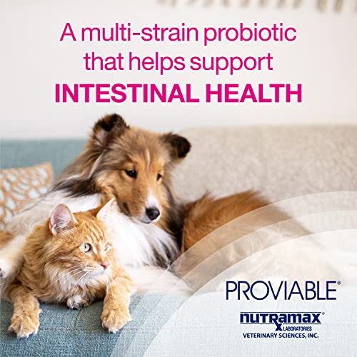 Proviable Digestive Health Supplement Multi-Strain Probiotics and Prebiotics for Cats and Dogs - With 7 Strains of Bacteria, 30 Capsules-UPStoxs