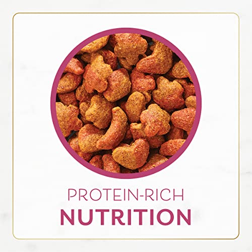 Purina Fancy Feast Dry Cat Food Filet Mignon Flavor with Seafood and Shrimp - 3 lb. Bag-UPStoxs