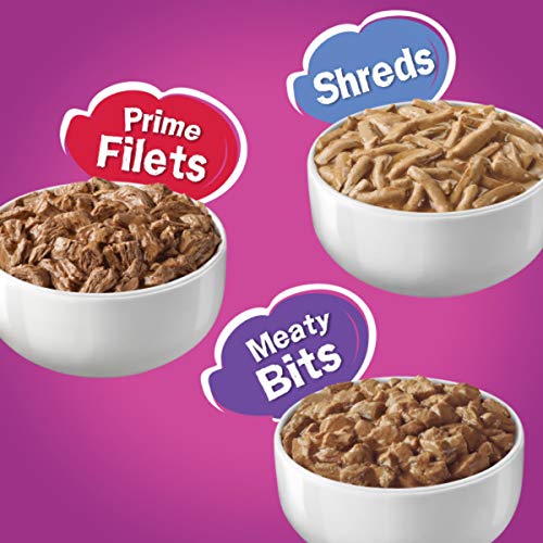 Purina Friskies Gravy Wet Cat Food Variety Pack, Poultry Shreds, Meaty Bits & Prime Filets - (Pack of 32) 5.5 oz. Cans-UPStoxs