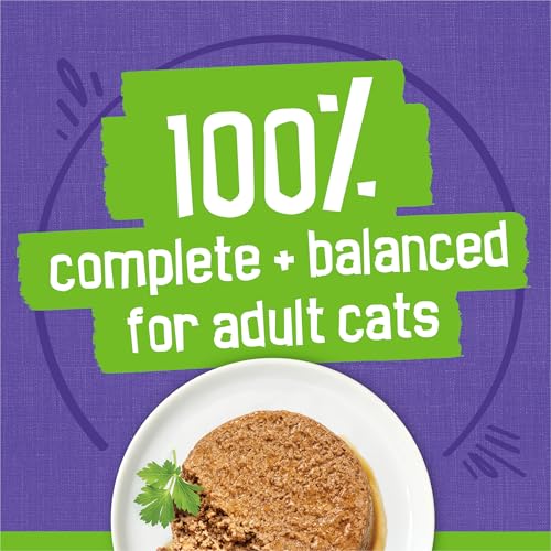 Purina Friskies Wet Cat Food Pate Variety Pack Seafood and Chicken Pate Favorites - (Pack of 40) 5.5 oz. Cans-UPStoxs