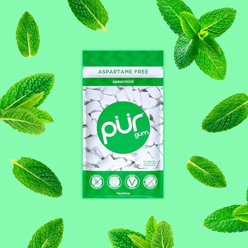 PUR Gum | Aspartame Free Chewing Gum | 100% Xylitol | Natural Spearmint Flavored Gum, 55 Pieces (Pack of 1)-UPStoxs