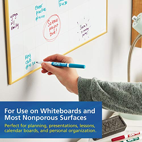 EXPO Low Odor Dry Erase Markers, Fine Tip, Black, 12 Count-UPStoxs