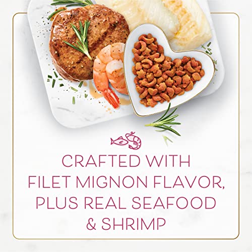 Purina Fancy Feast Dry Cat Food Filet Mignon Flavor with Seafood and Shrimp - 3 lb. Bag-UPStoxs