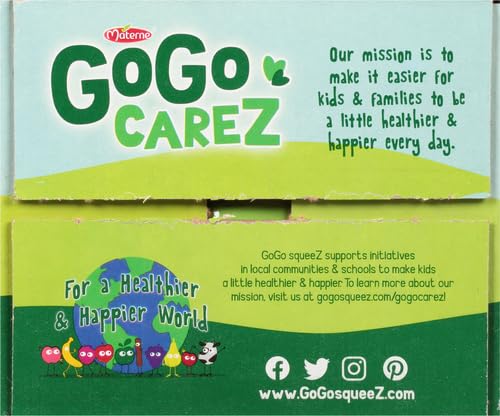 GoGo squeeZ Fruit on the Go Variety Pack, Apple, Banana & Strawberry, 3.2 oz (Pack of 20), Unsweetened Snacks for Kids, Gluten Free, Nut and Dairy Free, Recloseable Cap, BPA Free Pouches-UPStoxs