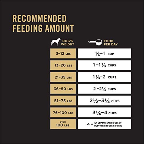Purina Pro Plan Sensitive Skin and Stomach Dog Food Salmon and Rice Formula - 16 lb. Bag-UPStoxs