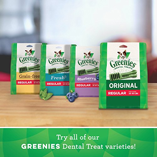Greenies Original Regular Natural Dog Dental Care Chews Oral Health Dog Treats, 36 count (Pack of 1)-UPStoxs