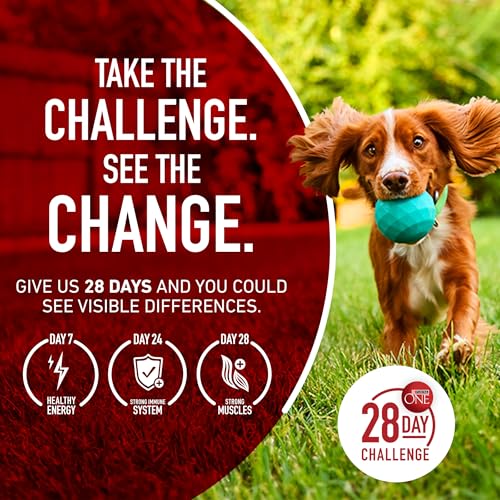 Purina ONE Dry Dog Food Lamb and Rice Formula - 8 lb. Bag-UPStoxs