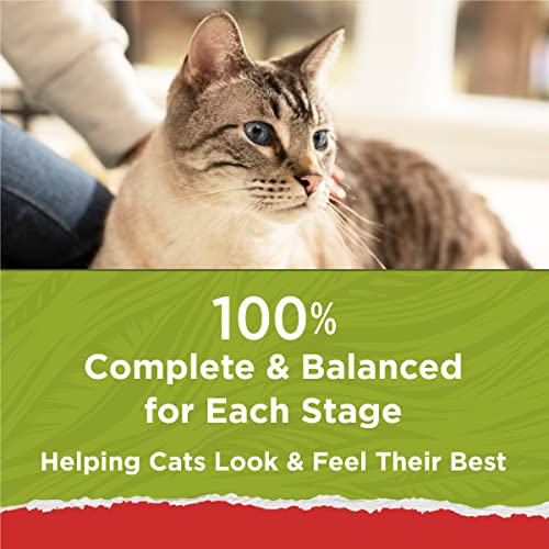 Purina Cat Chow Naturals With Added Vitamins, Minerals and Nutrients Dry Cat Food, Naturals Original - 13 lb. Bag-UPStoxs