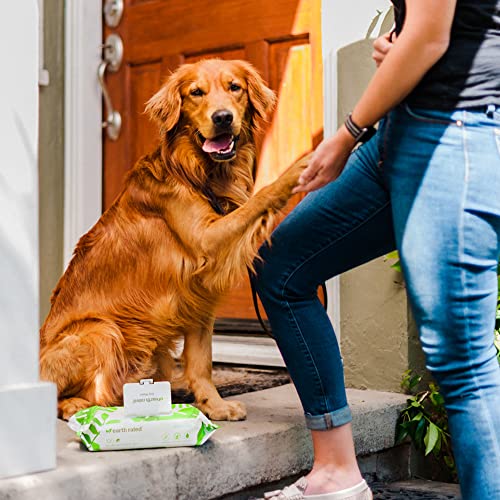Earth Rated Hypoallergenic Dog Wipes, Cleaning and Odor-Controlling Grooming Wipes for Paws, Body, and Butt, Perfect for Puppy and Adult Dogs, Unscented, 100 Count-UPStoxs