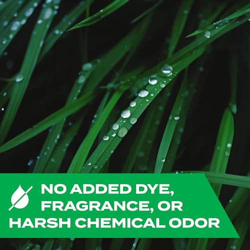 Stem Kills Ants, Roaches And Flies: Plant-Based Active Ingredient Bug Spray, Botanical Insecticide For Indoor And Outdoor Use; 12 fl oz (Pack Of 1)-UPStoxs