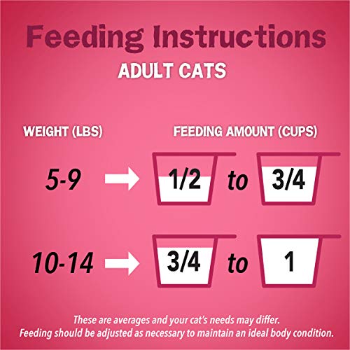 Purina Friskies Dry Cat Food, Gravy Swirlers - 3.15 lb. Bag-UPStoxs
