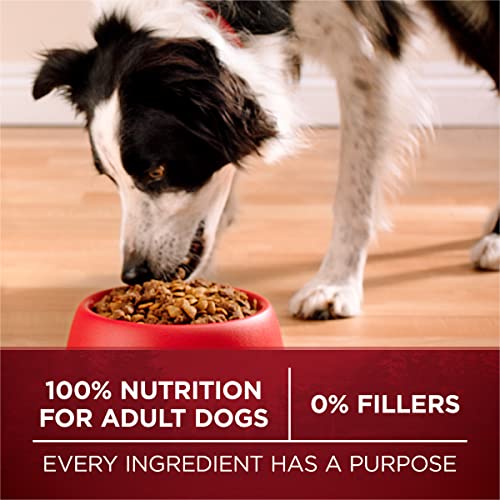 Purina ONE True Instinct With A Blend Of Real Turkey and Venison Dry Dog Food - 36 lb. Bag-UPStoxs