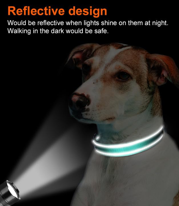 Joytale Reflective Dog Collar,Soft Neoprene Padded Breathable Nylon Pet Collar Adjustable for Medium Dogs,Teal,M-UPStoxs