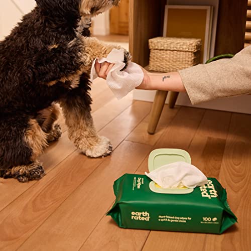 Earth Rated Hypoallergenic Dog Wipes, Cleaning and Odor-Controlling Grooming Wipes for Paws, Body, and Butt, Perfect for Puppy and Adult Dogs, Unscented, 100 Count-UPStoxs