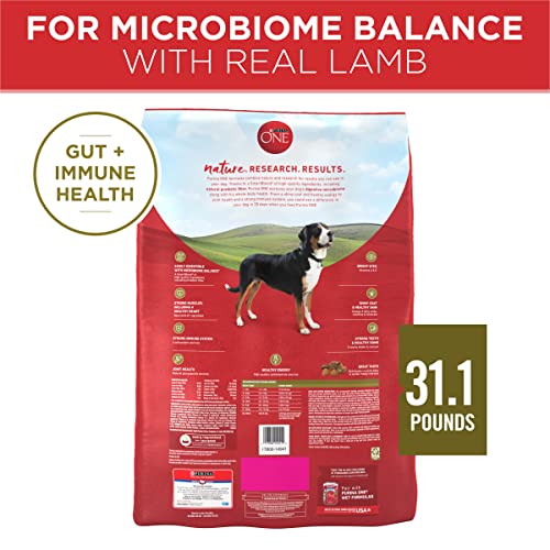 Purina ONE Dry Dog Food Lamb and Rice Formula - 31.1 lb. Bag-UPStoxs