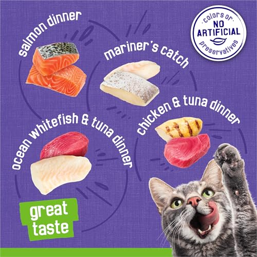 Purina Friskies Wet Cat Food Pate Variety Pack Seafood and Chicken Pate Favorites - (Pack of 40) 5.5 oz. Cans-UPStoxs