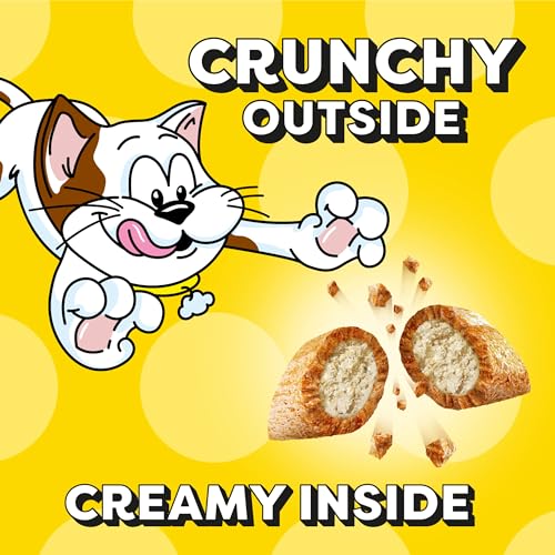 TEMPTATIONS Jumbo Stuff Crunchy and Soft Cat Treats, Tasty Chicken Flavor, 14 oz. Tub, (Pack of 1)-UPStoxs